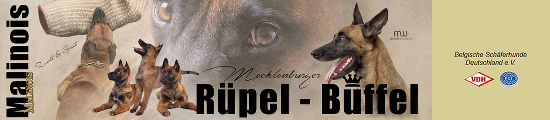 Banner Rpel-Bffel