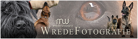 Banner-WredeFotografie