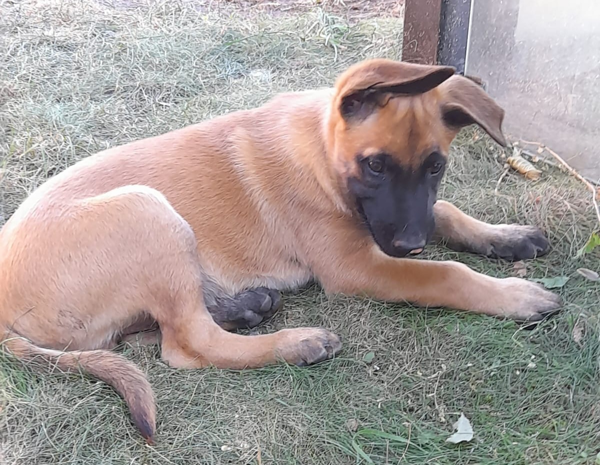 Odin