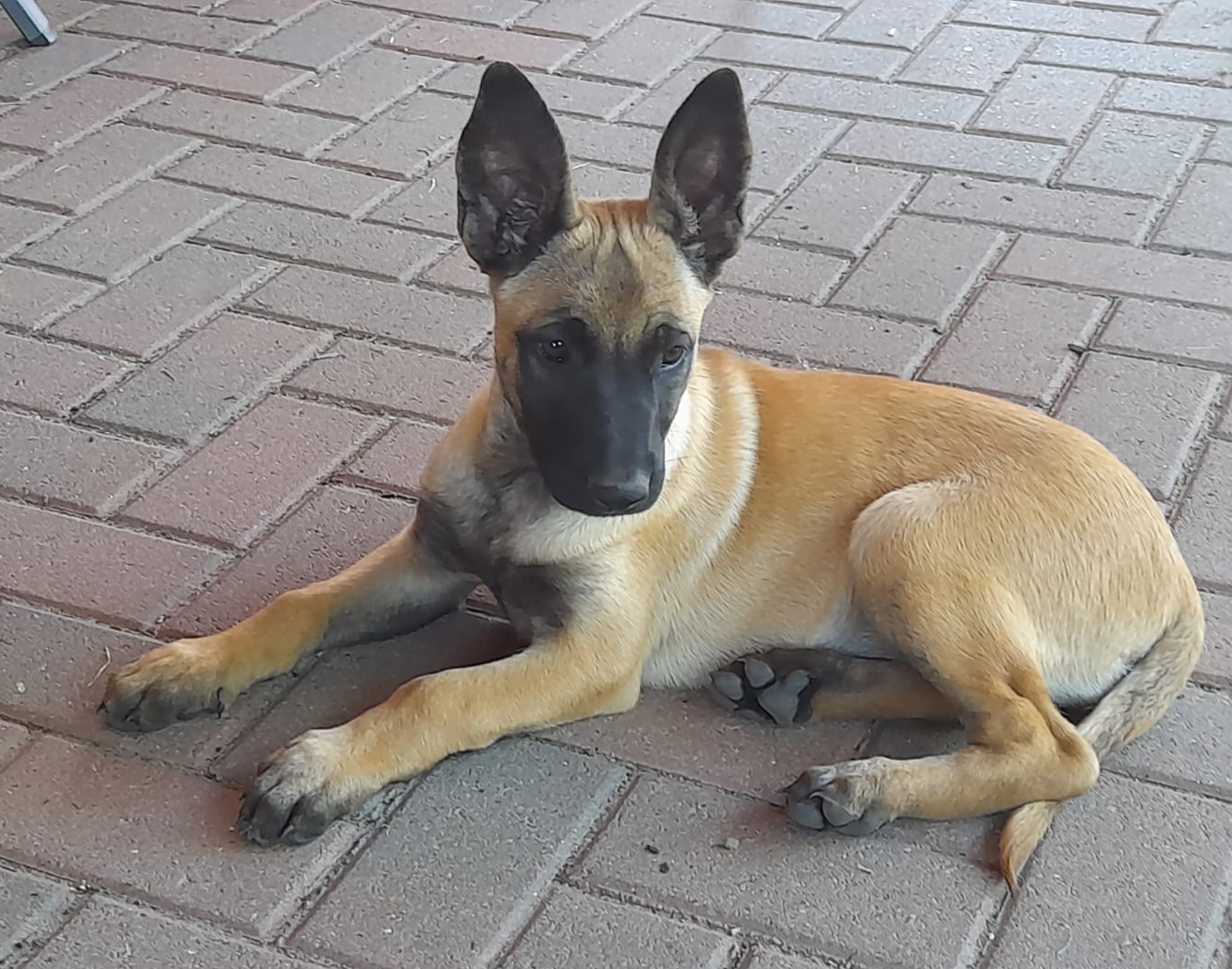 Oona